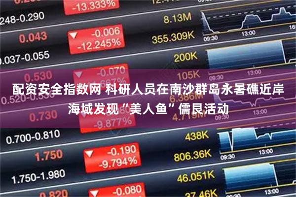 配资安全指数网 科研人员在南沙群岛永暑礁近岸海域发现“美人鱼”儒艮活动